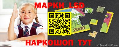 стаф Кунгур