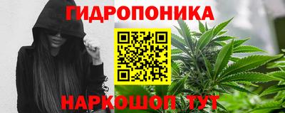 стаф Кунгур