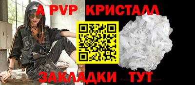 стаф Кунгур