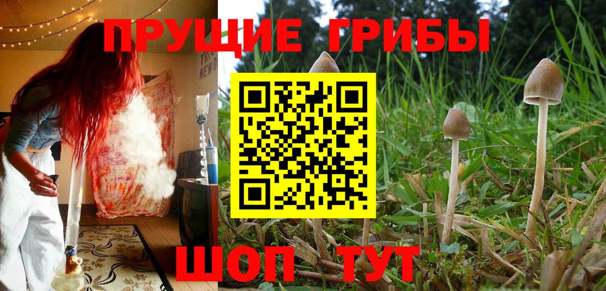 купить наркотик  Вход с VPN  Джанкой  Псилоцибиновые грибы прущие грибы 