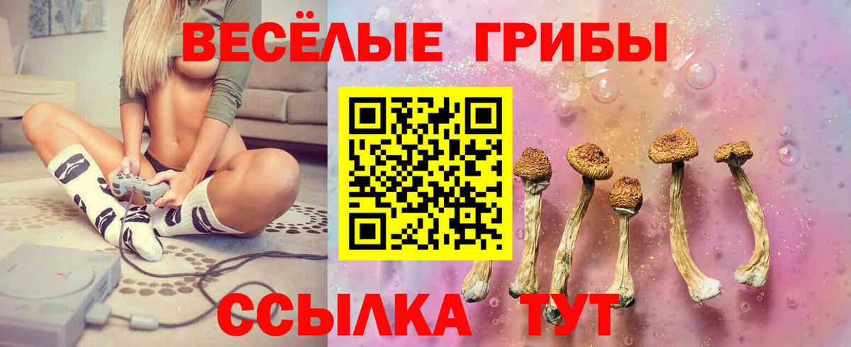 Галлюциногенные грибы Cubensis Джанкой